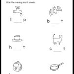 Short Vowels Middle Sounds Worksheets And Activities