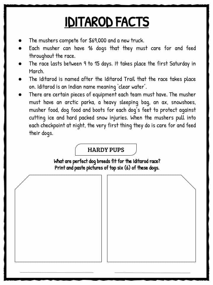 The Iditarod 2019 Facts Worksheets Historical 