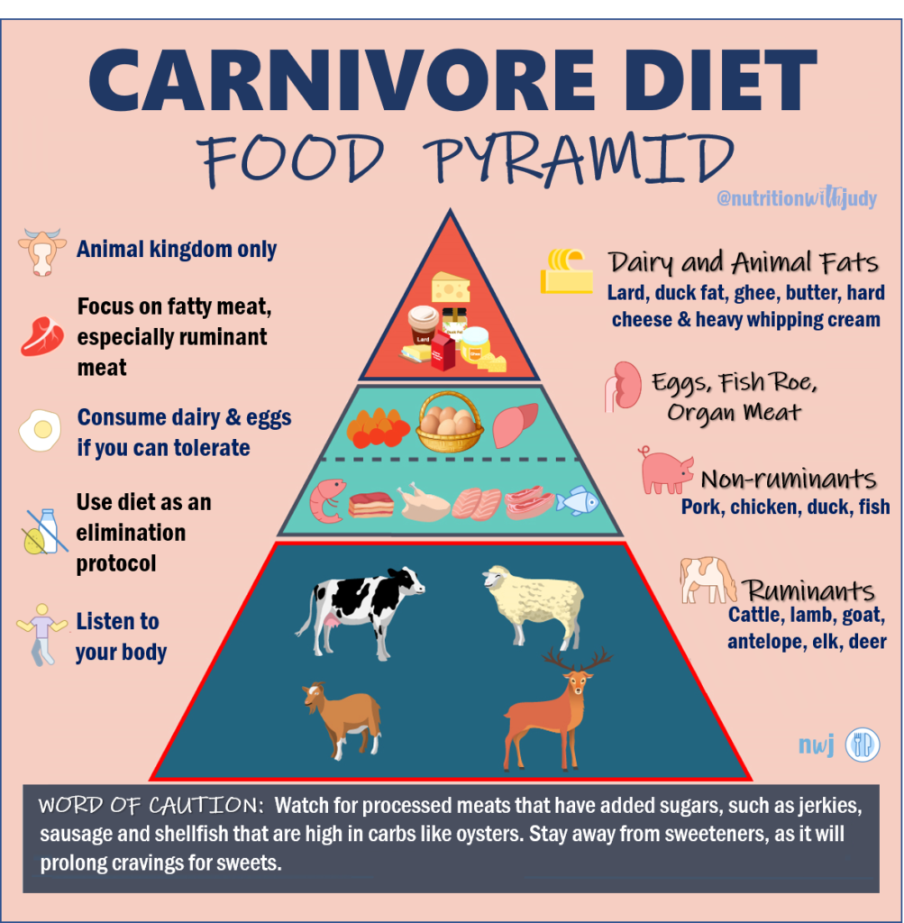 The Nutritionist S Guide To The Carnivore Diet A Beginner