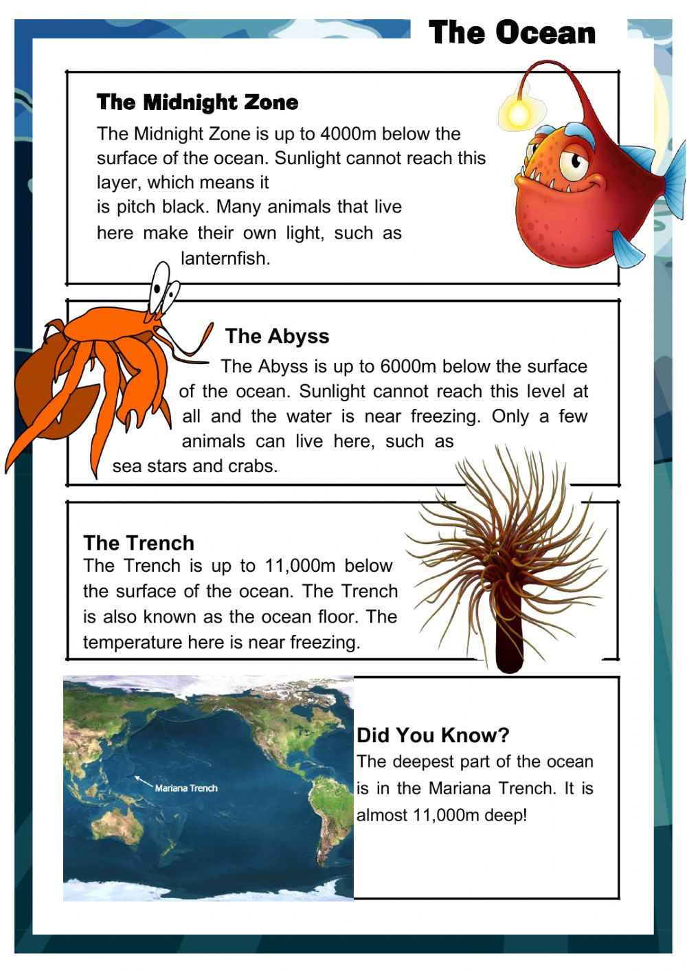 The Ocean Reading Comprehension Worksheet