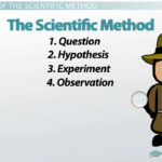 The Scientific Method Steps Terms And Examples YouTube