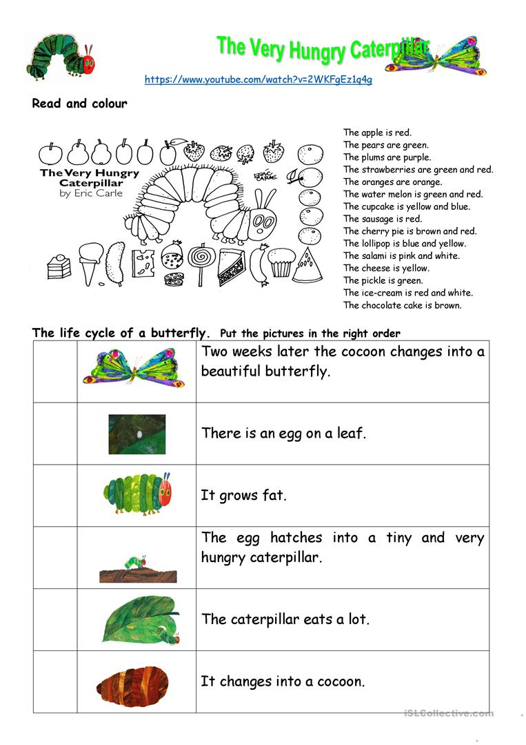 The Very Hungry Caterpillar Comprehension Worksheet 
