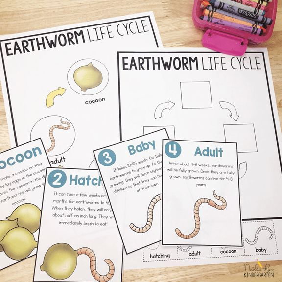 Try These Free Earthworm Activities With Your Class Today 