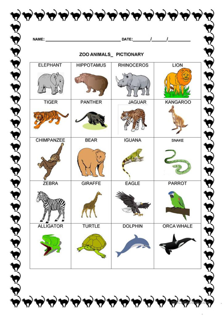 Zoo Animals Pictionary Worksheet Free ESL Printable