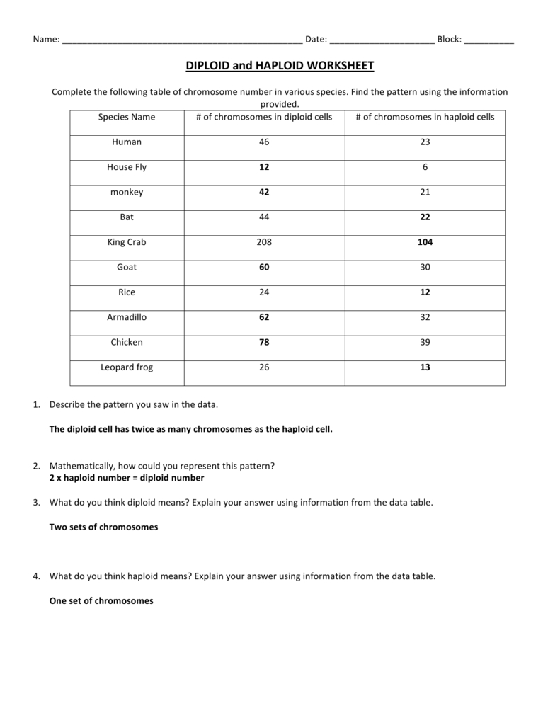 DIPLOID And HAPLOID WORKSHEET