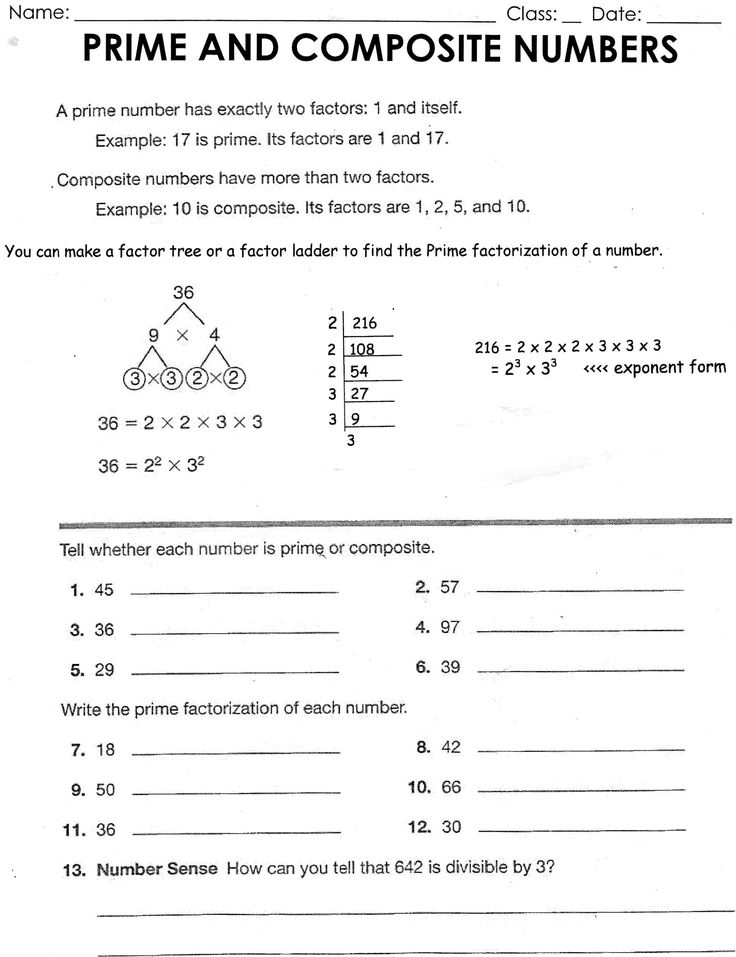 Divisibility Rules Worksheet 6th Grade Prime And 