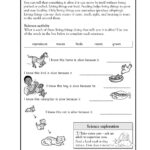 Free Printable Science Worksheets For 2Nd Grade Free