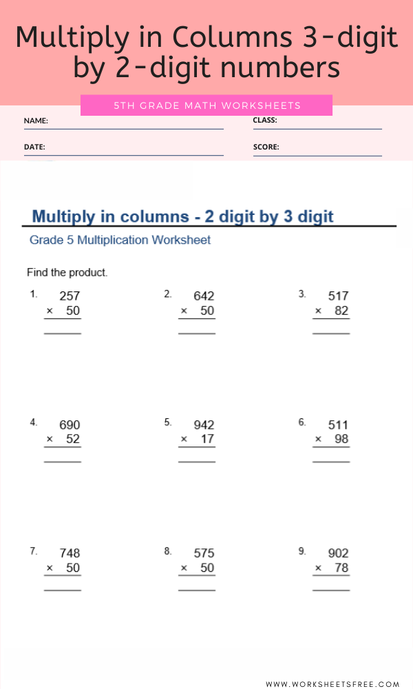 Multiply In Columns 3 digit By 2 digit Numbers For Grade 5 