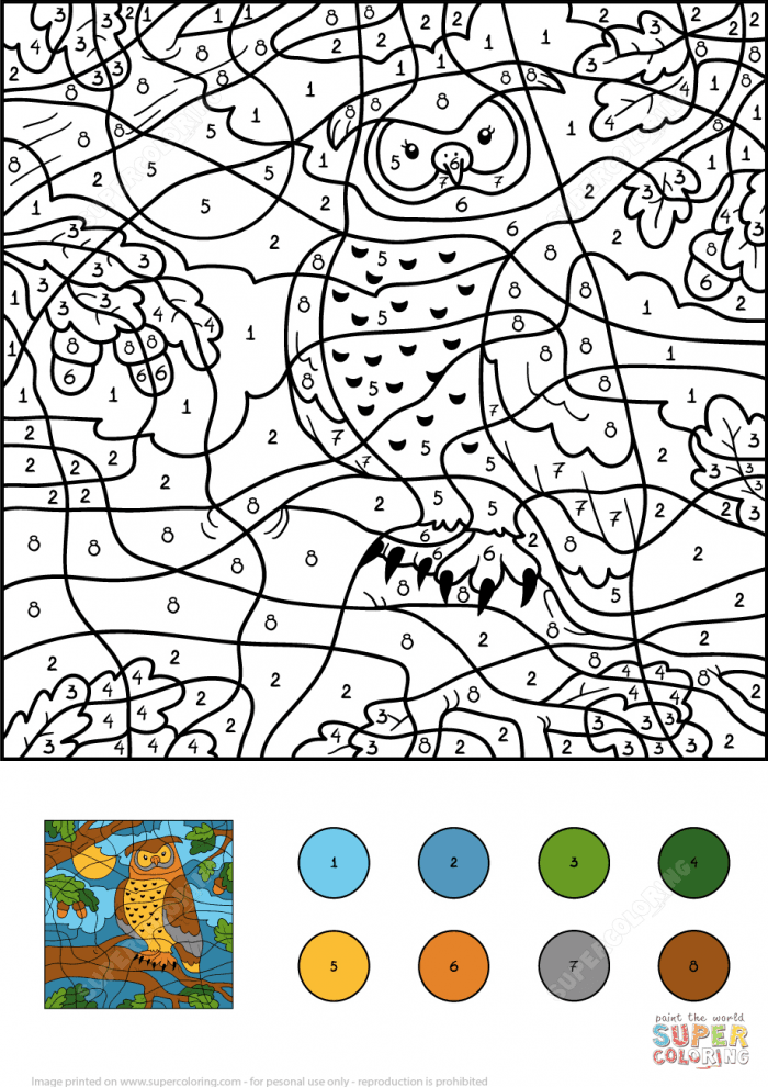 Owl Color By Number Worksheets 99Worksheets