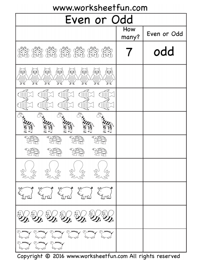  PDF Even Odd Numbers First Grade Worksheet Hoc360
