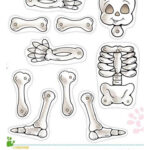 Skeleton Worksheet For Kindergarten Worksheet For