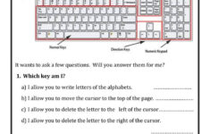 Free Printable Computer Keyboarding Worksheets Worksheet For Class 2
