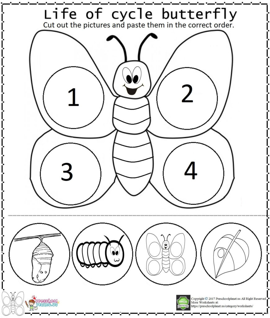 29 Butterflies Kindergarten Ideas Butterfly Life Cycle Life Cycles Kindergarten Science