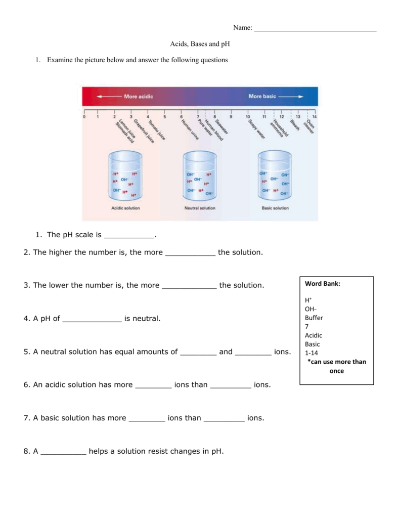 Acids Bases And PH Worksheet