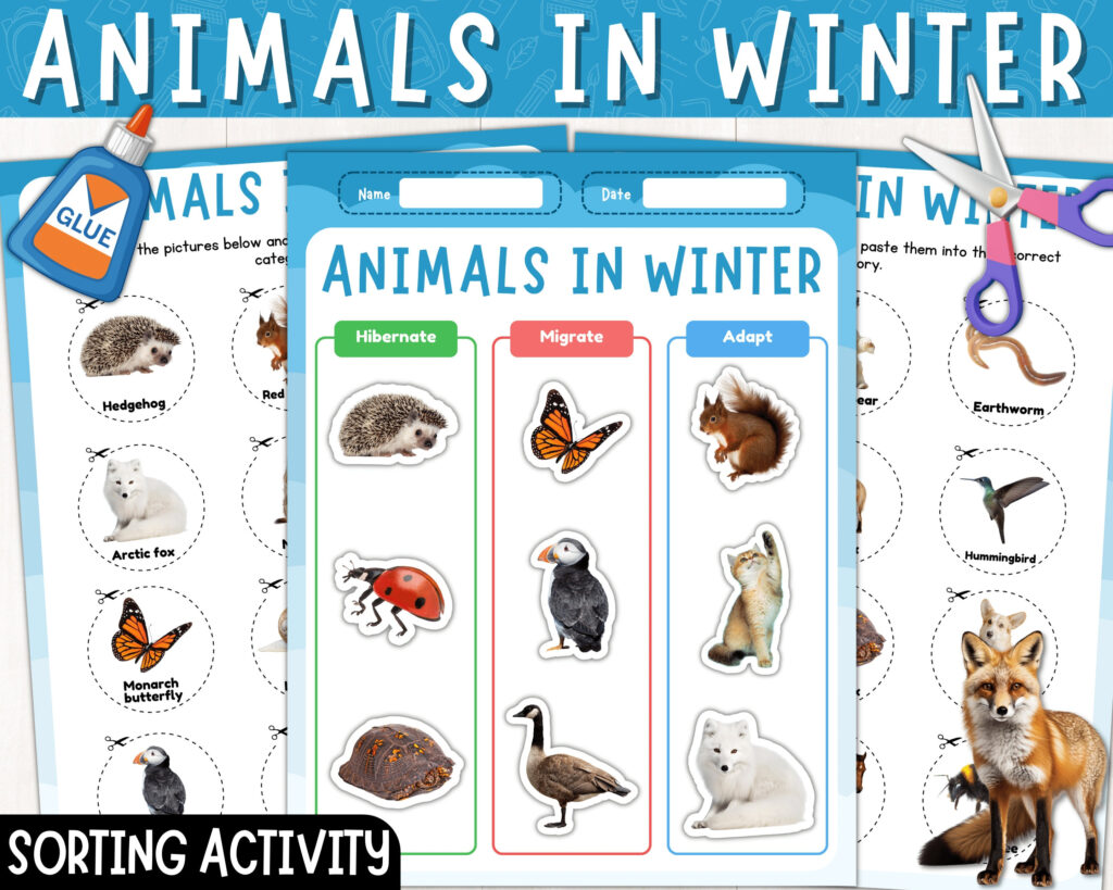 Animals In Winter Hibernate Migrate And Adapt Animals Sorting Activity Montessori Instant Download PDF Etsy Animals In Winter Hibernate Migrate And Adapt Animals Sorting Activity Montessori Instant Download PDF Etsy