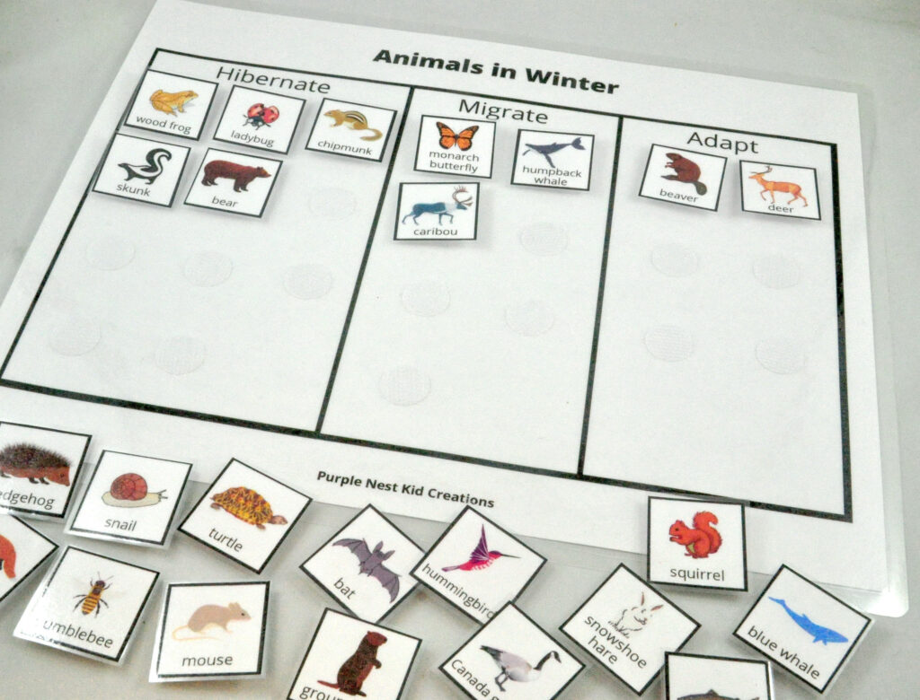 Animals In Winter Sorting Worksheet Hibernate Migrate Adapt PDF Etsy