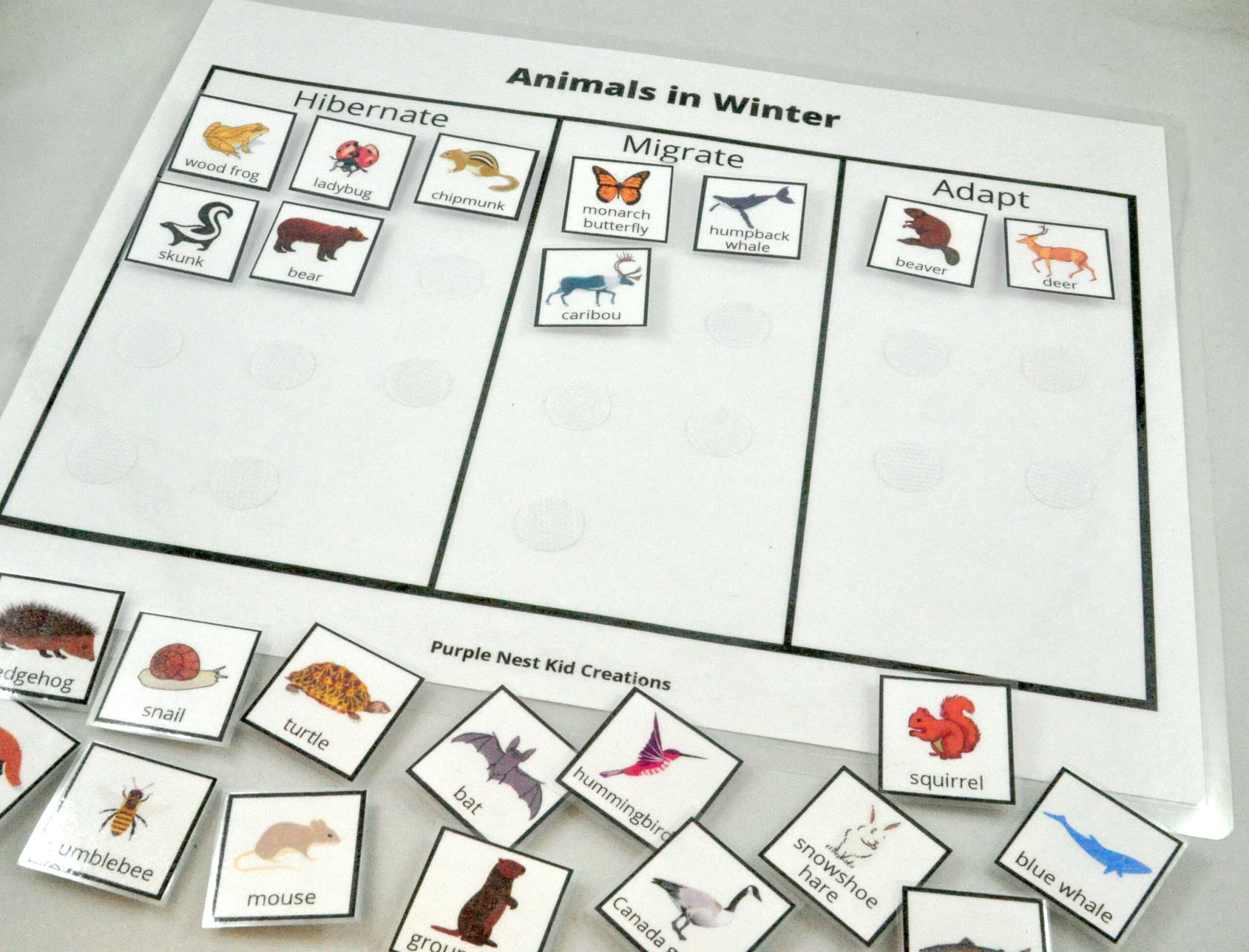 Animals In Winter Sorting Worksheet Hibernate Migrate Adapt PDF Etsy