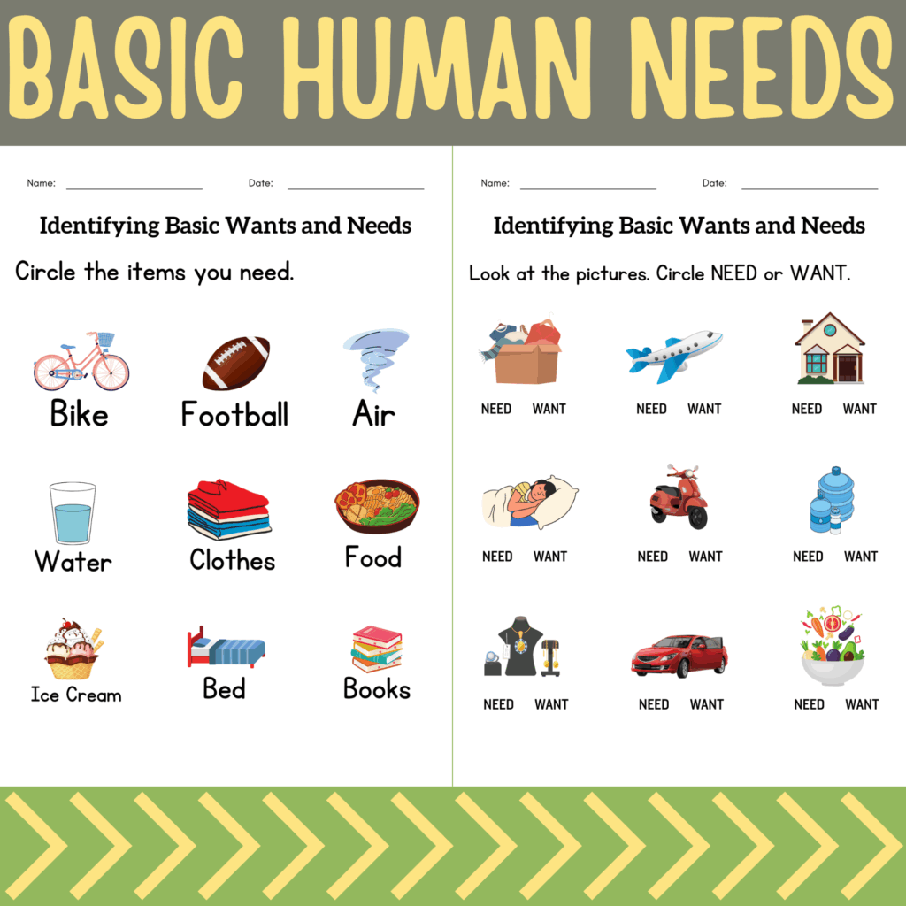 Basic Human Needs And Basic Needs Of Animals Activities Worksheet For Grade 1 Or 2 Made By Teachers