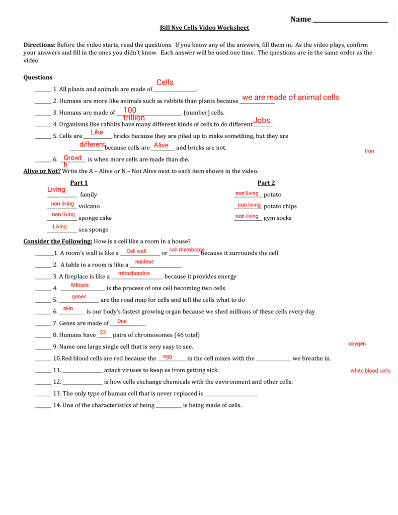 Bill Nye Cells Video Worksheet 11 12 Bill Nye Cells Video Worksheets Library