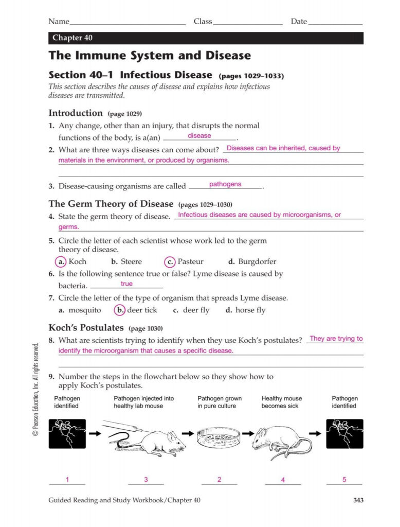 Chapter 40 Answer Key