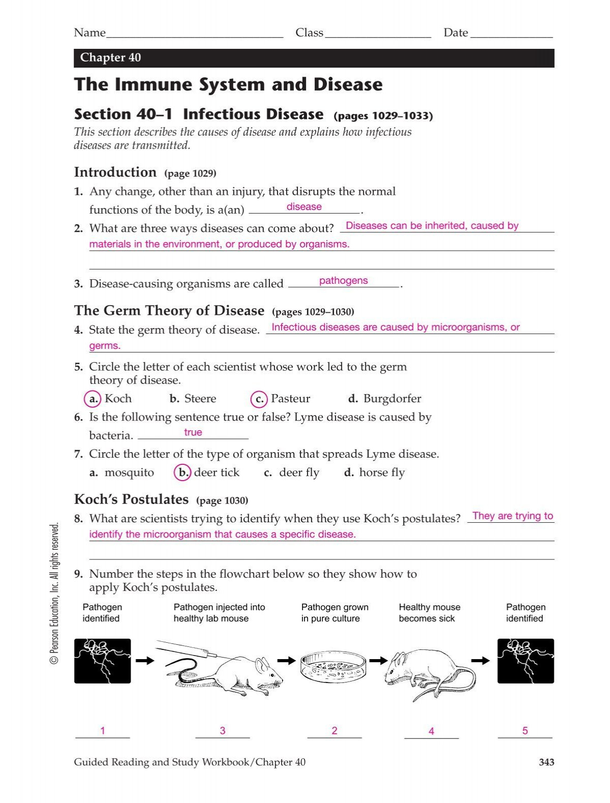 Chapter 40 Answer Key