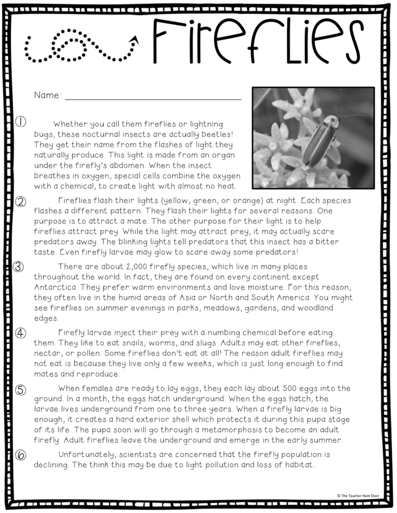 Citing Text Evidence In 6 Steps Upper Elementary Snapshots Worksheets Library