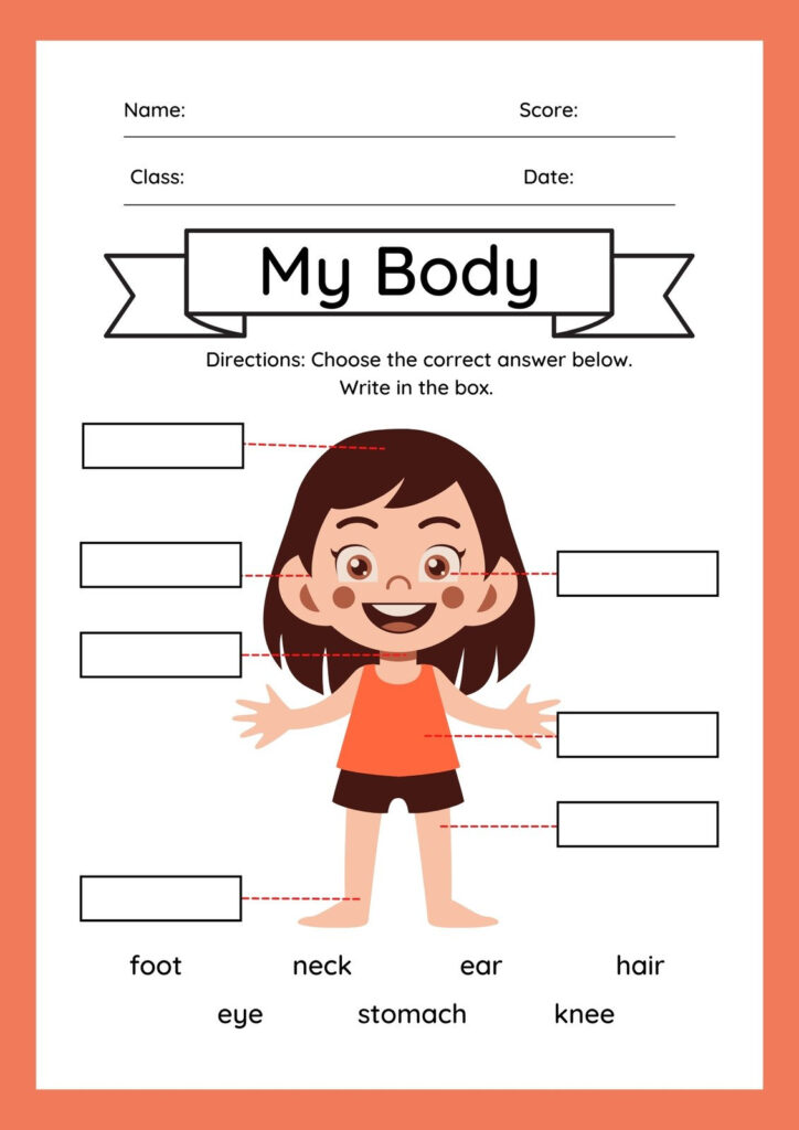 Customize 82 Body Parts Worksheets Templates Online Canva