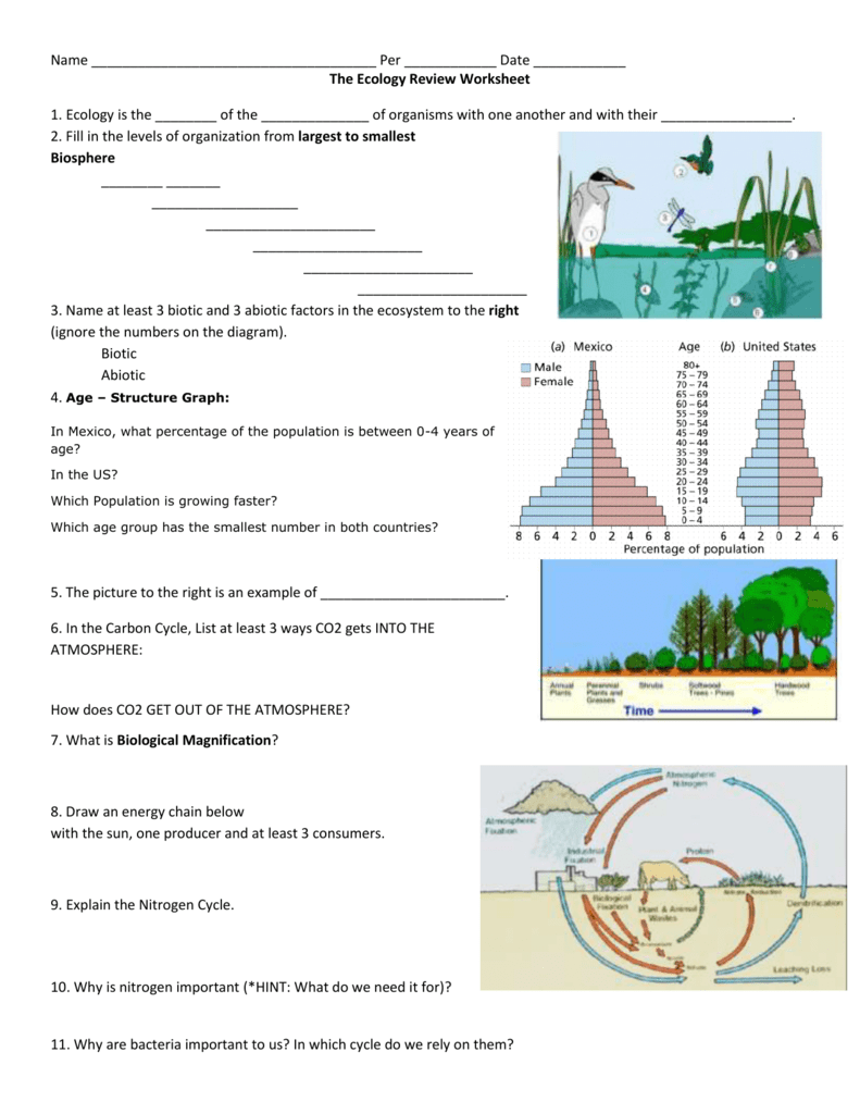 Ecology Review Worksheet High School Biology