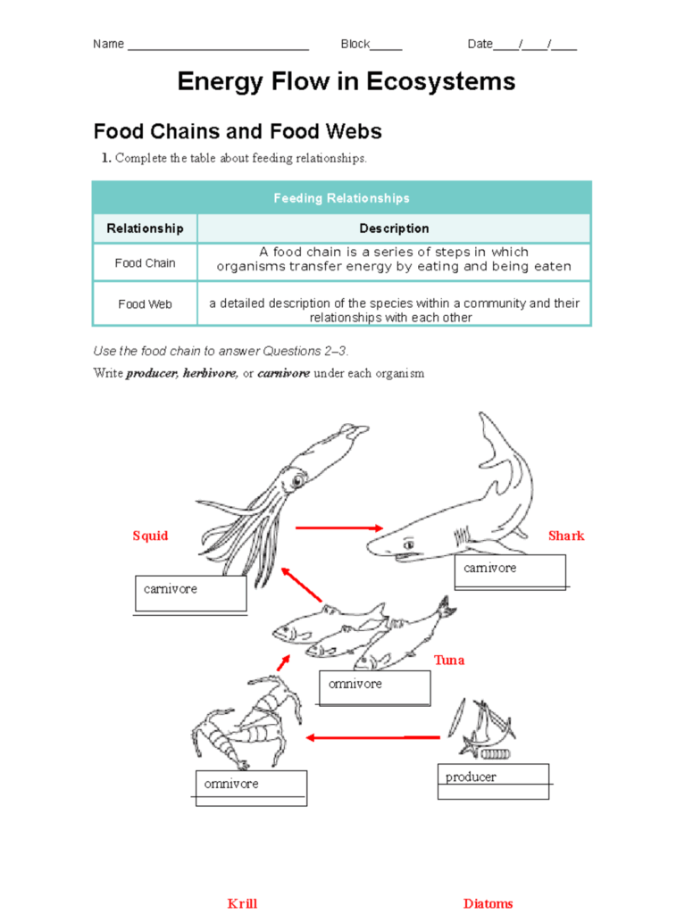 Energy Flow In Ecosystems Worksheet 1 Food Chains Webs Analysis Studocu Energy Flow In Ecosystems Worksheet 1 Food Chains Webs Analysis Studocu