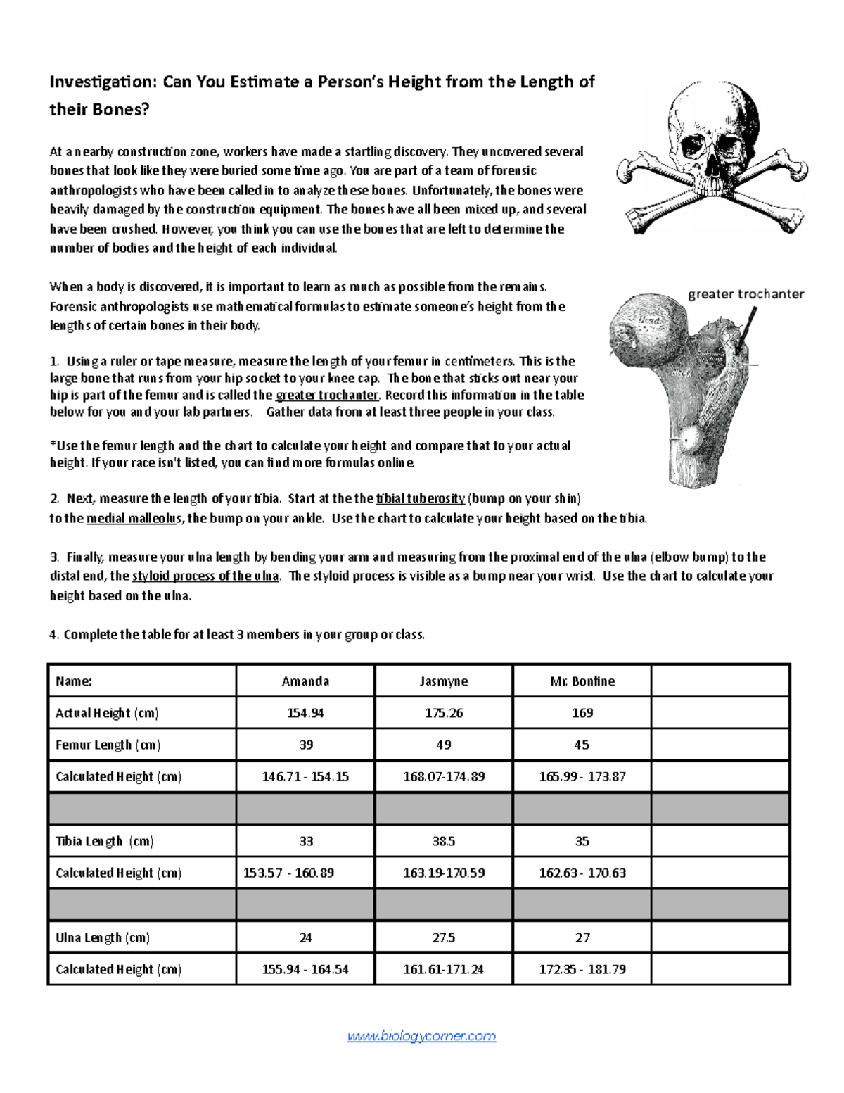 Estimating Height From Long Bones Forensic Analysis Study Document Studocu