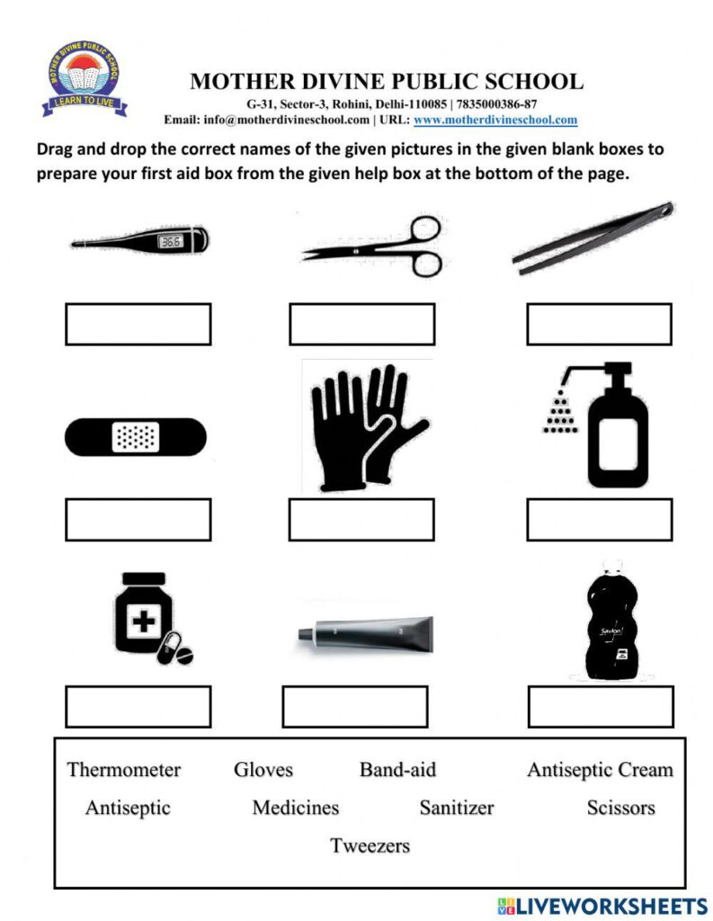 First Aid Kit Interactive Worksheet For GRADE 2 Worksheets Library