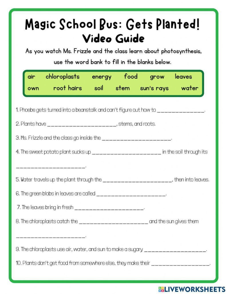 Free Magic School Bus Worksheet Download Free Magic School Bus Worksheet Png Images Free Worksheets On Clipart Library