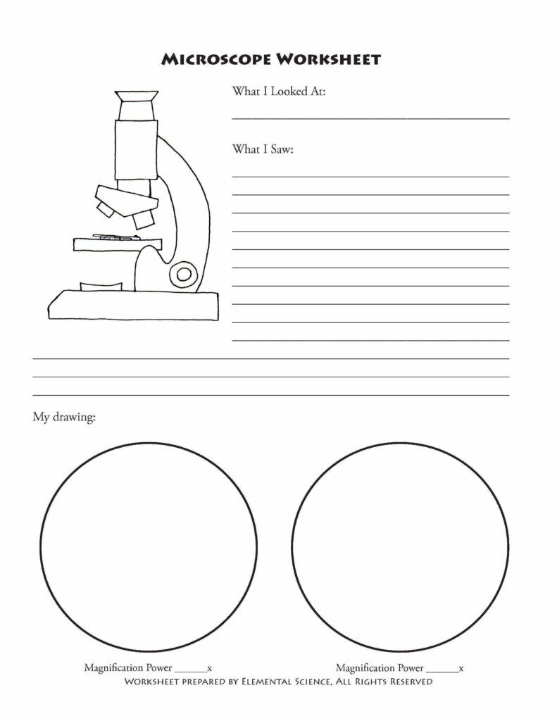 Free Microscope Notebooking Printables From Elemental Science Worksheets Library