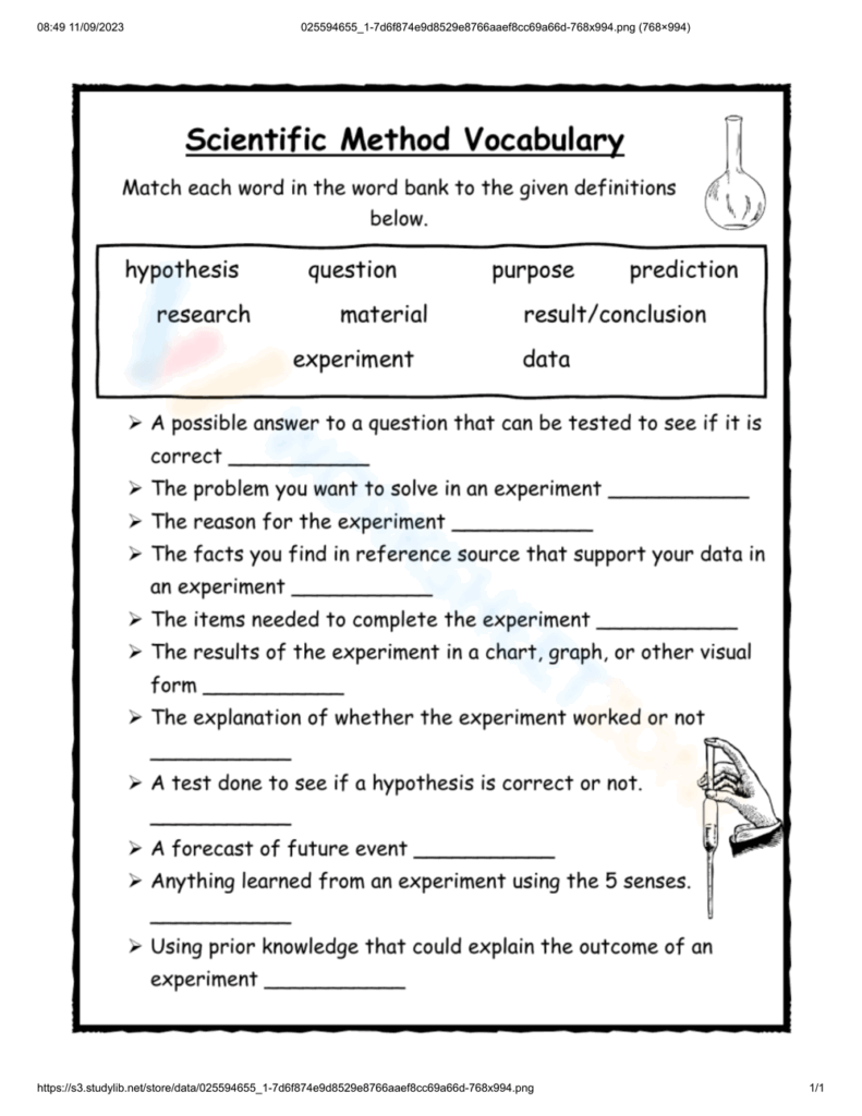 Grade 4 Scientific Method Worksheets 2024 Worksheets Library