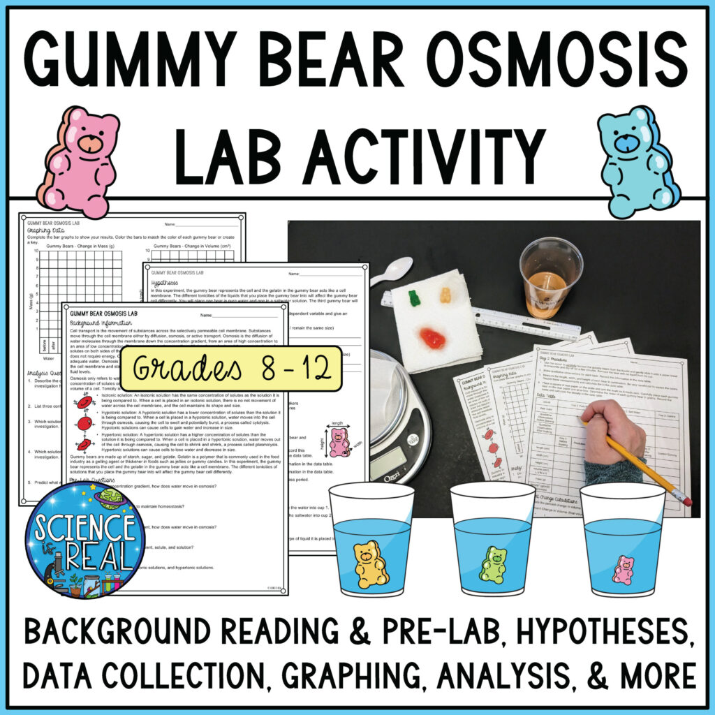 Gummy Bear Osmosis Lab Cell Transport Lab Classful Gummy Bear Osmosis Lab Cell Transport Lab Classful