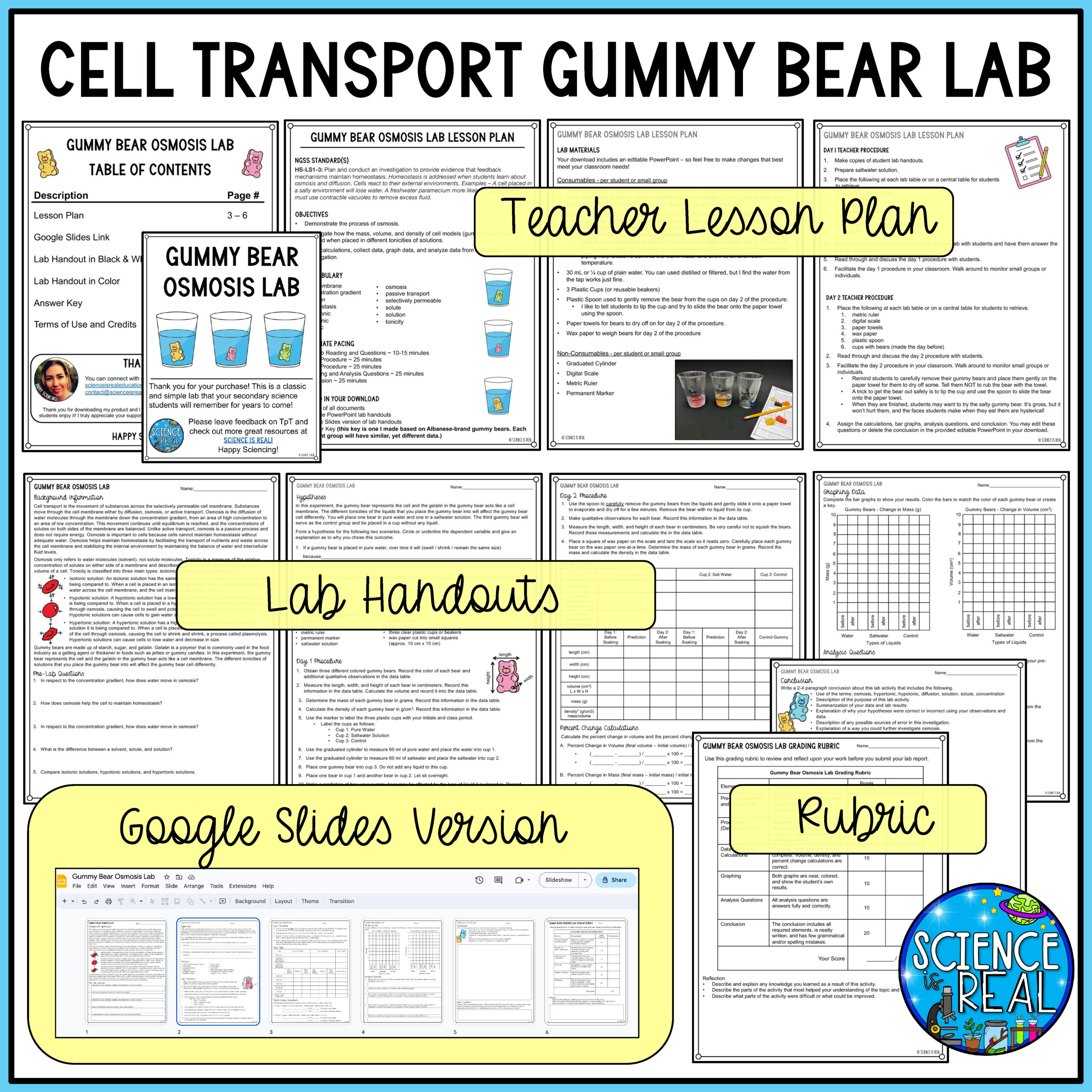 Gummy Bear Osmosis Lab Cell Transport Lab Classful