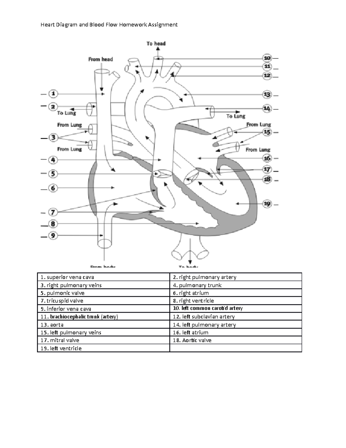 Heart Diagram Blood Flow Worksheet Bio 101 Studocu