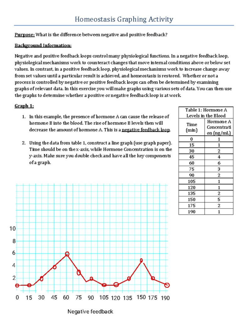Homeostasis Graphing Activity WS 101 Feedback Loops Explained Studocu