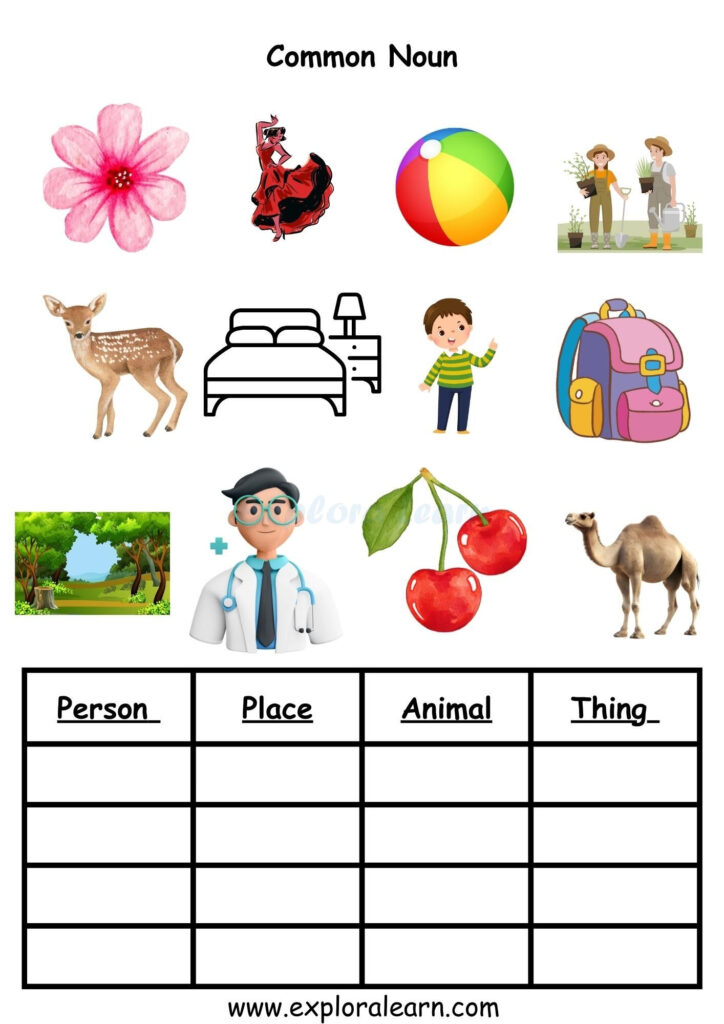 Identifying Nouns Identifying Nouns