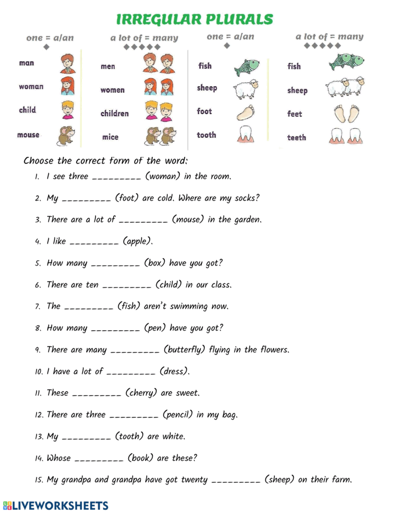 Irregular Plural Nouns Worksheet Irregular Plural Nouns Worksheet