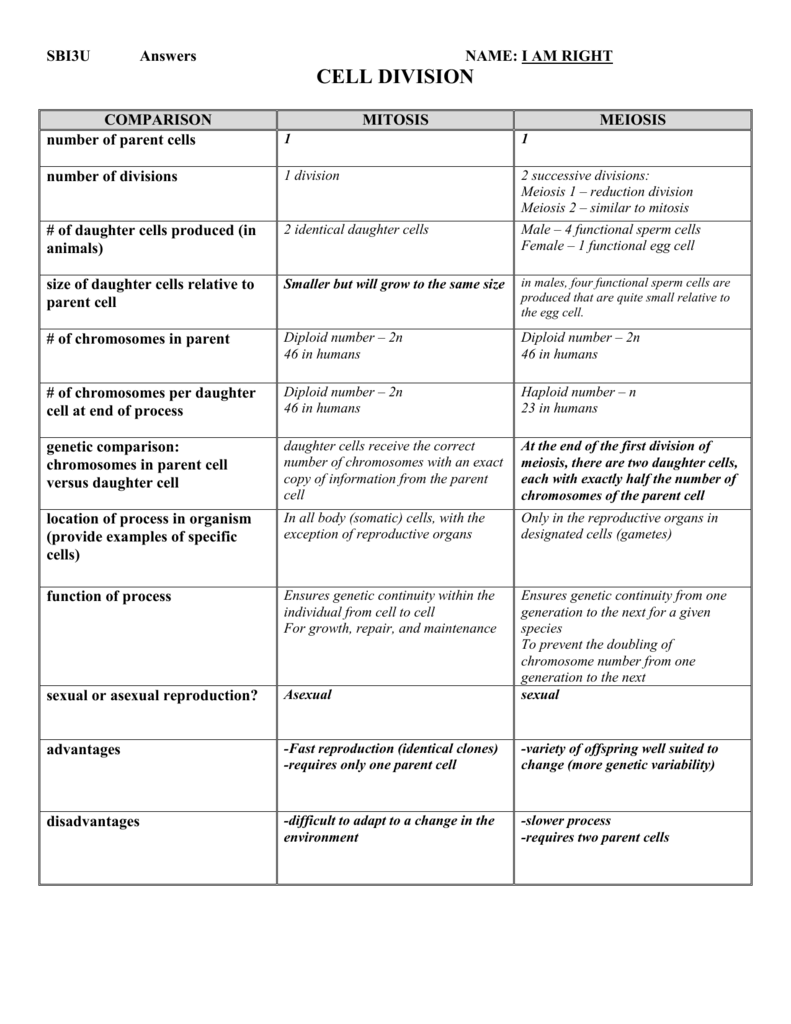 Mitosis Vs Meiosis Comparison Worksheet Answer Key