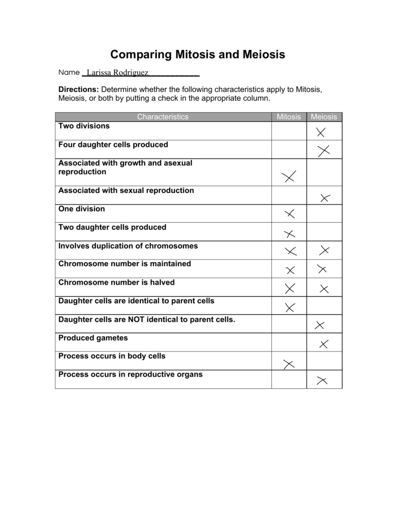 Mitosis Vs Meiosis Worksheet