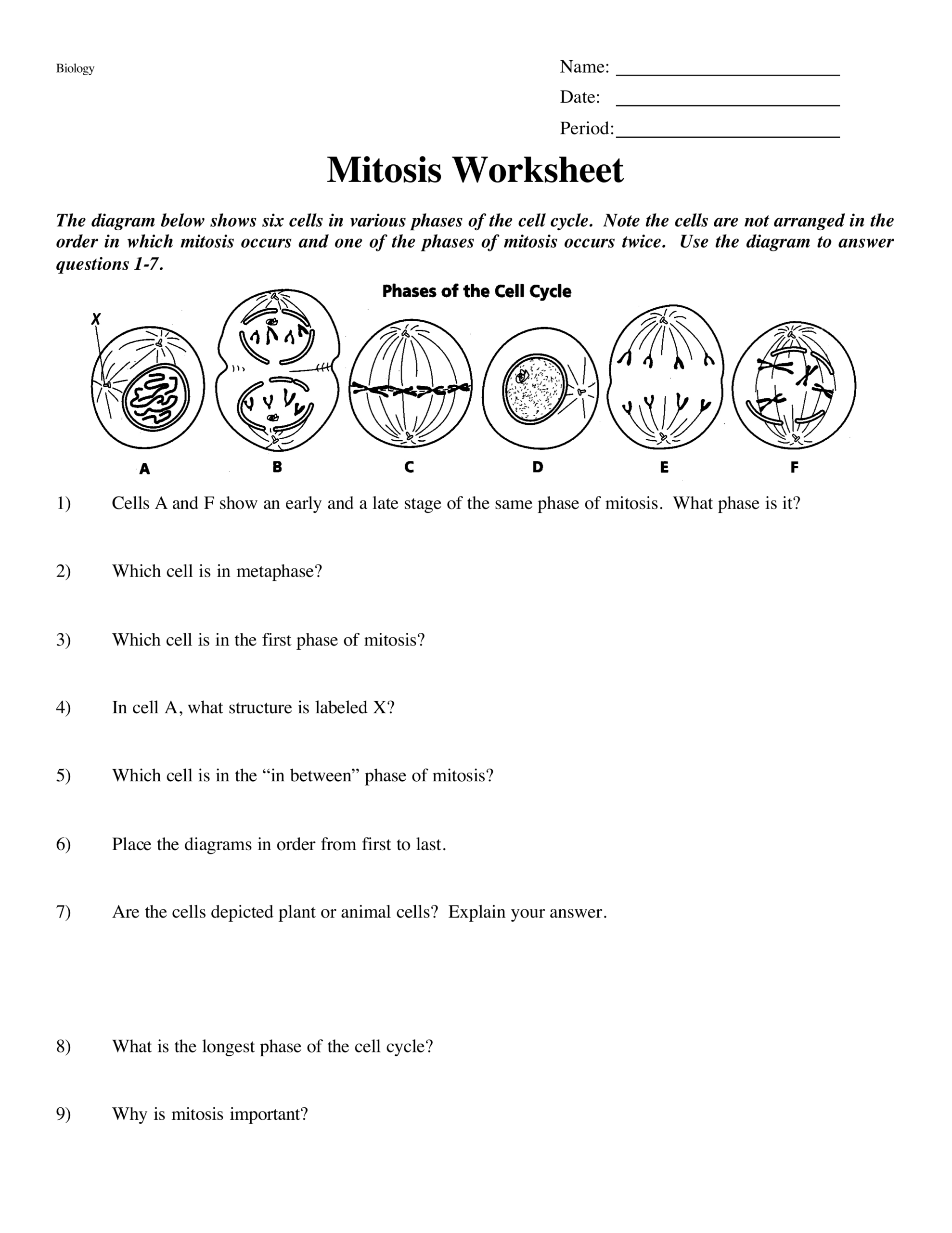 Mitosis Worksheet Jacob Haddock Library Formative