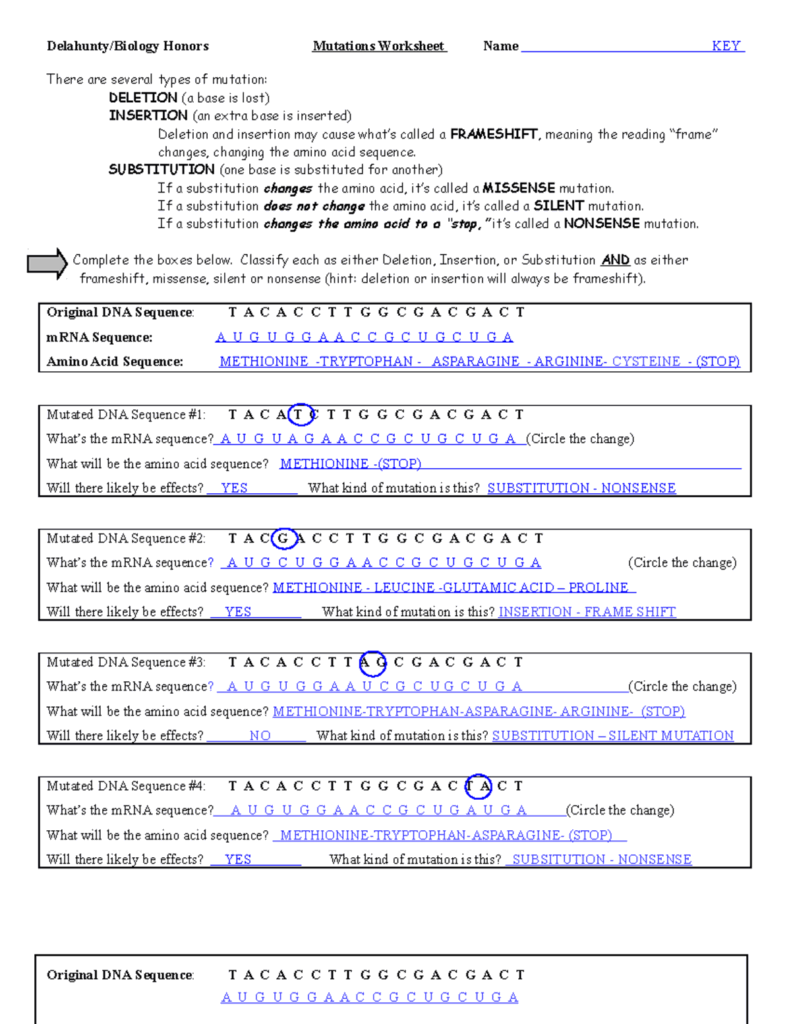 Mutations Biology Honors WS Key By Sonal Tonger Studocu