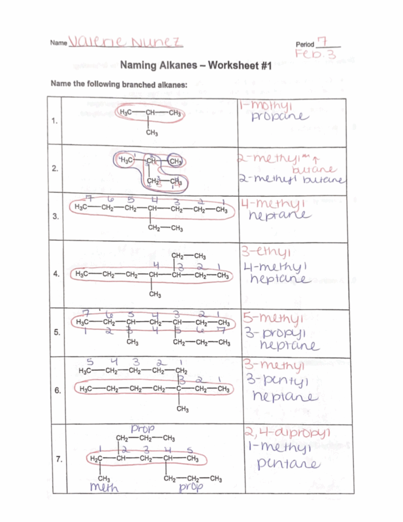 Naming Alkanes Worksheet 1 For Organic Chemistry Studocu