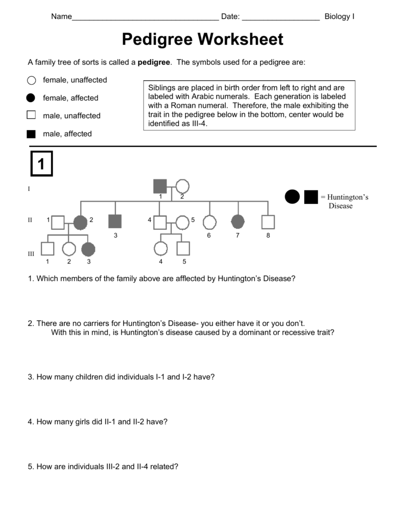 Pedigree Worksheet Biology I Genetics Inheritance