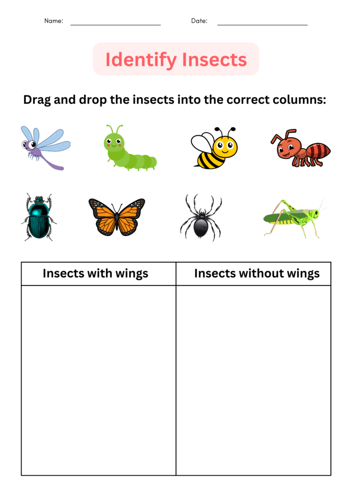 Printable Insects Worksheet For Kindergarten Identify And Matching For Grade 1 Made By Teachers