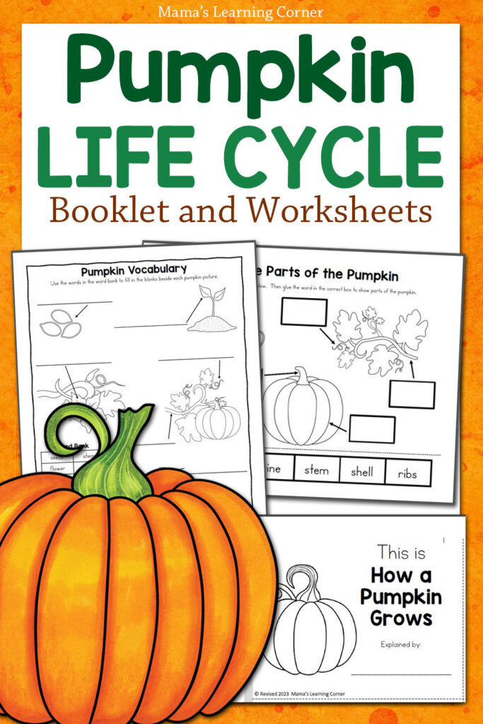 Pumpkin Life Cycle Worksheets Mamas Learning Corner Pumpkin Life Cycle Worksheets Mamas Learning Corner