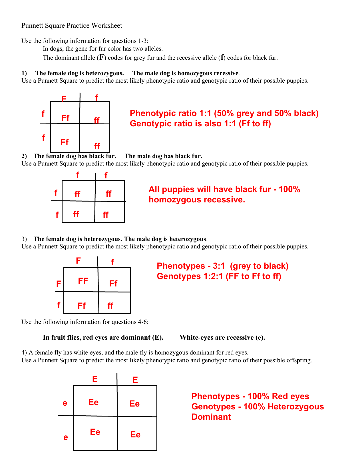 Punnett Square Practice Worksheet Genetics Problems