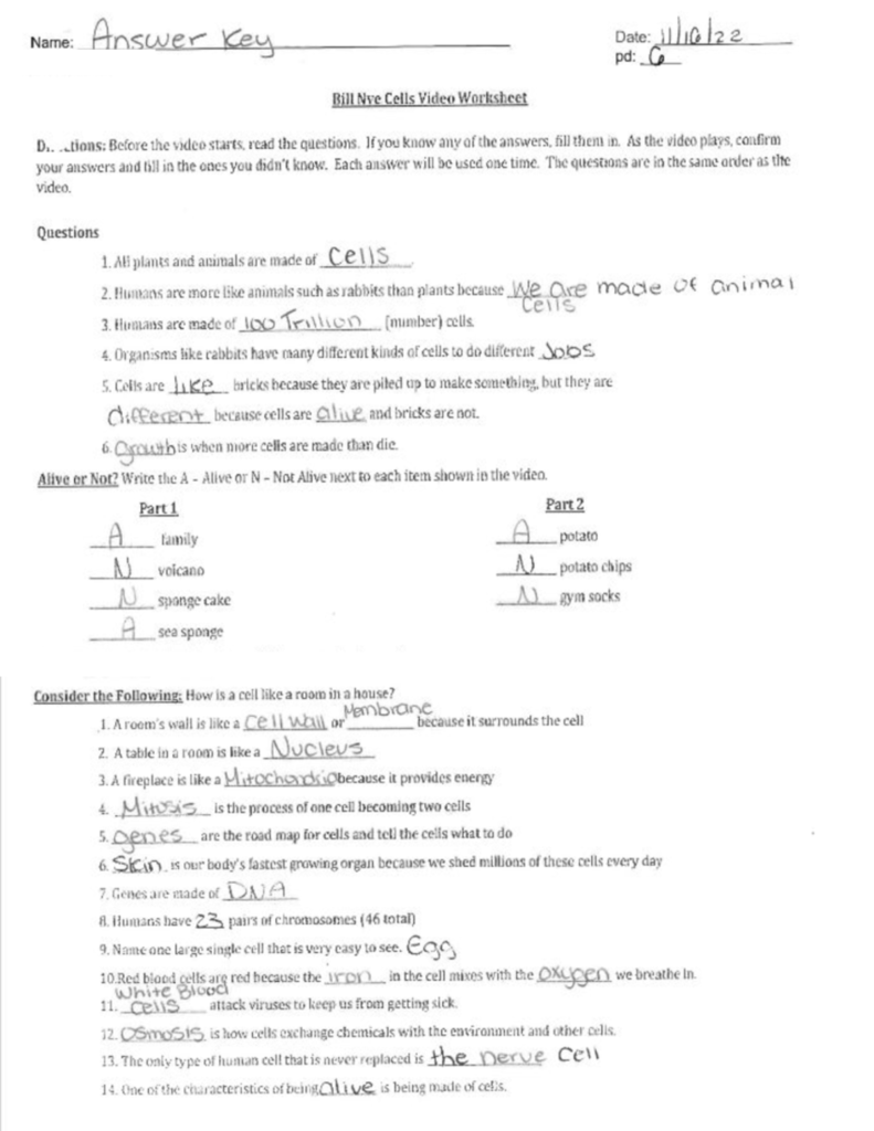 Revised Title Bill Nye Cells Video Worksheet AK Answer Key 11 15 2022 Studocu